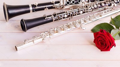 Krajské kolo soutěže žáků ZUŠ ve hře na dechové nástroje
