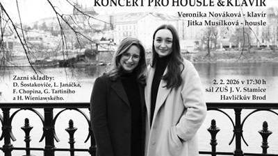 Koncert pro housle a klavír